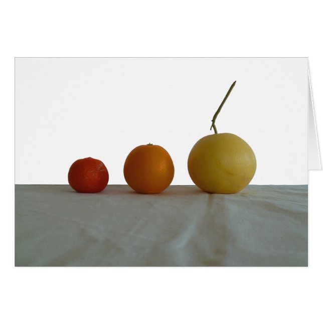 Grapefruit, Orange & Tangerine Still Life (Front Horizontal)