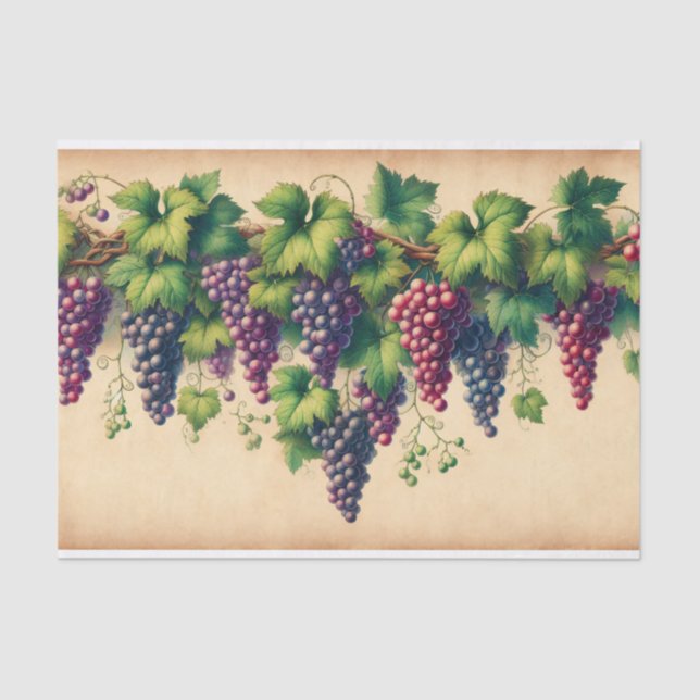 Grapes and Vine on Parchment Decoupage Tissue Paper (Front)