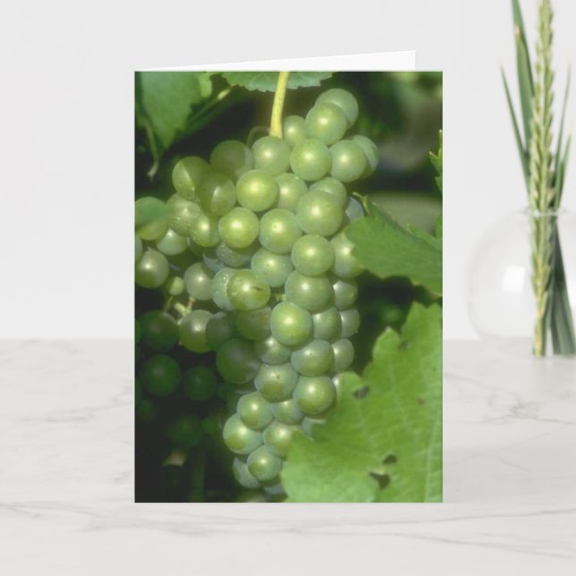 Grapes Card (Front)