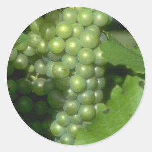 Grapes Classic Round Sticker