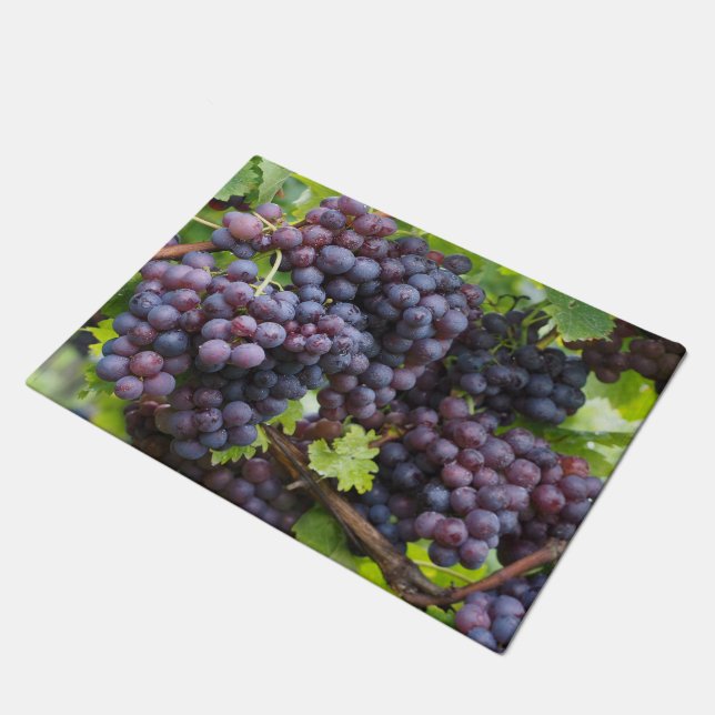 Grapes Door Mat (Angled)
