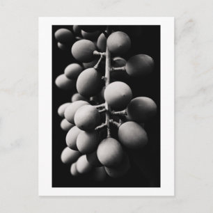 grapes for a sour day postcard