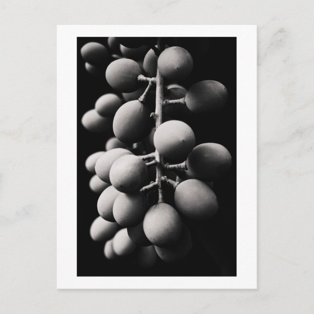 grapes for a sour day postcard (Front)