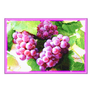 "Grapes Fruit Plant" Cute Photo. Buy Now Photo Print