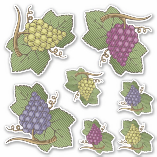 Grapes Icon Set Contour Stickers (Front)