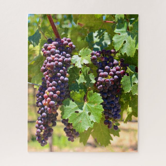 Grapes Jigsaw Puzzle (Vertical)