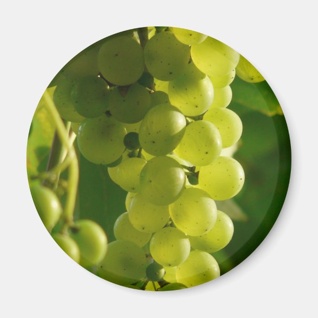 Grapes Magnet (Front)