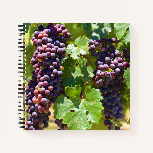 Grapes Notebook (Front)