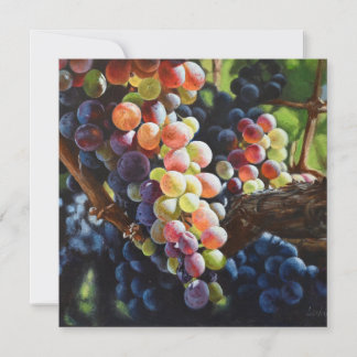 Grapes of Abundance for Wine Lovers & Wineries