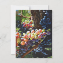 Grapes of Abundance for Wine Lovers & Wineries