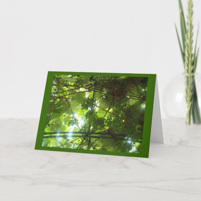 Grapes of Patience w Border Card (Front)