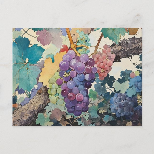 Grapes on the Vine Postcard (Front)
