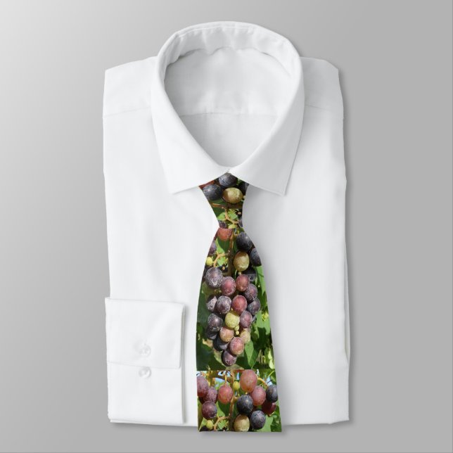 Grapes on the Vine Tie (Tied)