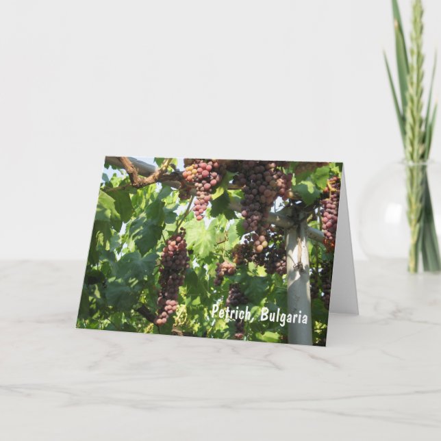 Grapes Petrich, Bulgaria Thank You Card (Front)