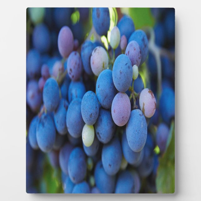 Grapes Plaque (Front)