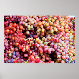 Grapes Poster