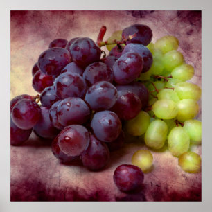 Grapes Red And Green Poster