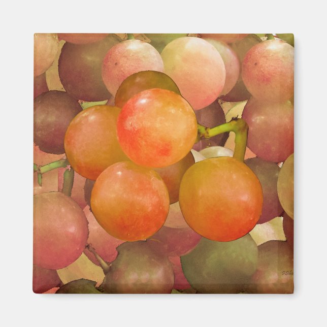 Grapes Un-Wrath Magnet (Front)