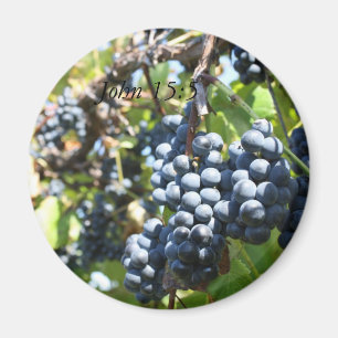 Grapes Vineyard John 15:5 Magnet