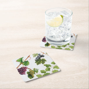 Grapes Vineyard Mediterranean Greek Island Square Paper Coaster