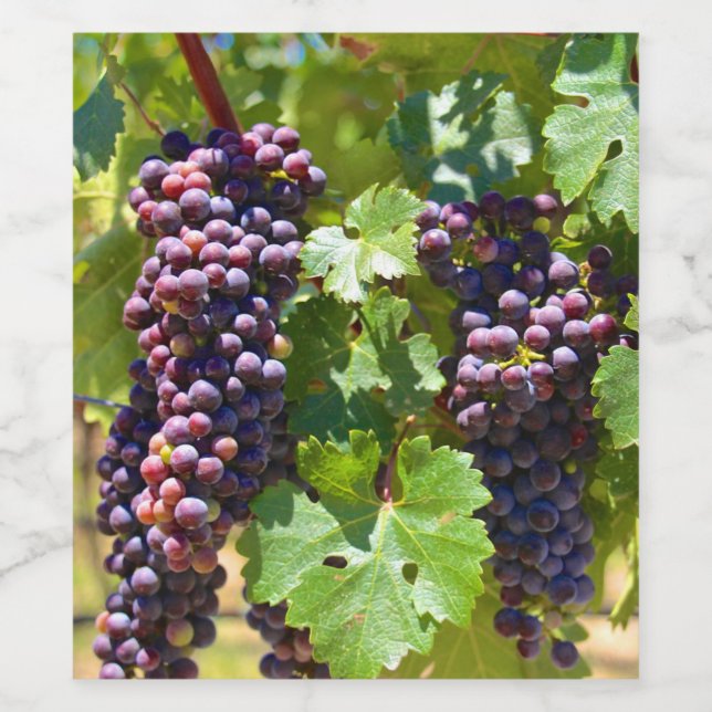 Grapes Wine Label (Single Label)