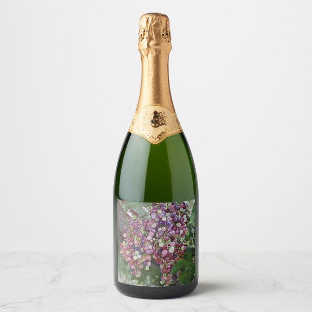 Grapevine Abundance — Hyperrealistic Botanical Pai Sparkling Wine Label (Front)