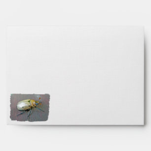 Grapevine Beetle (Pelidnota punctata)6Shape Envelope