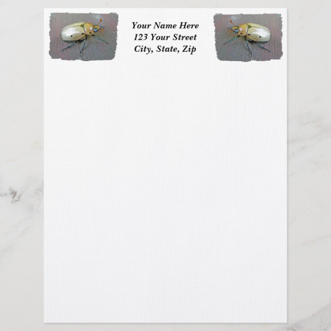 Grapevine Beetle (Pelidnota punctata) Letterhead (Front)