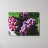 Grapevine Fruit Photography
