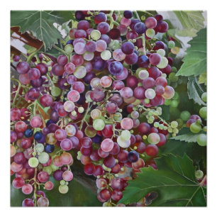 Grapevine Glory — Hyperrealistic Vineyard Art for Poster