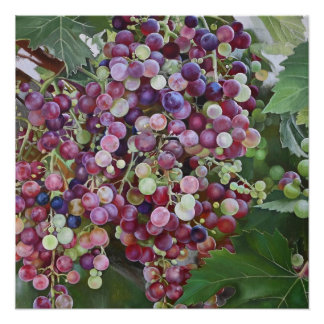 Grapevine Glory — Hyperrealistic Vineyard Art for Poster