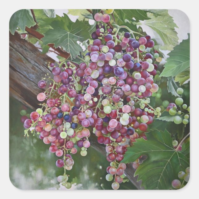 Grapevine Glory — Hyperrealistic Vineyard Art for  Square Sticker (Front)