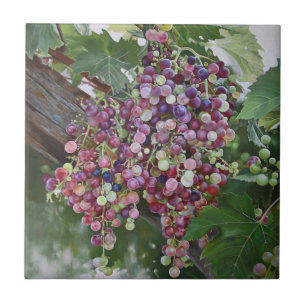 Grapevine Glory — Hyperrealistic Vineyard Art for Tile