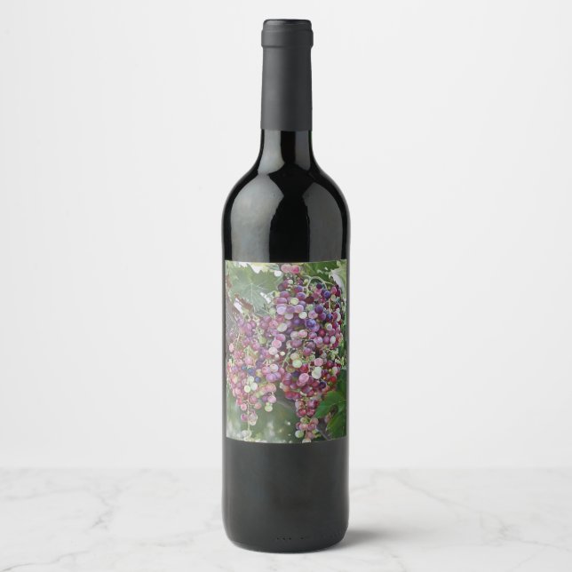 Grapevine Glory — Hyperrealistic Vineyard Art for  Wine Label (Front)