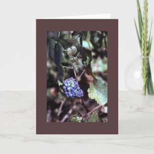 Grapevine Note Card