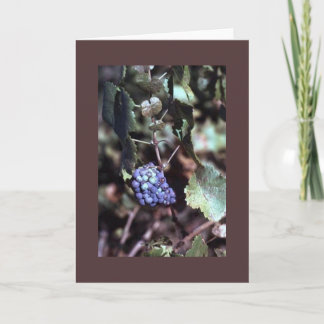 Grapevine Note Card