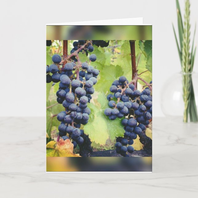 Grapevine Note Card <Blank Inside> (Front)
