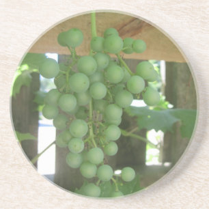 Grapevine Sandstone Coasters