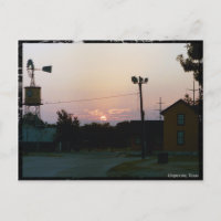 Grapevine Sunrise Postcard