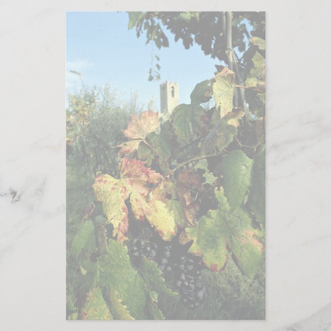 Grapevine, Tuscany, Italy Stationery (Front)