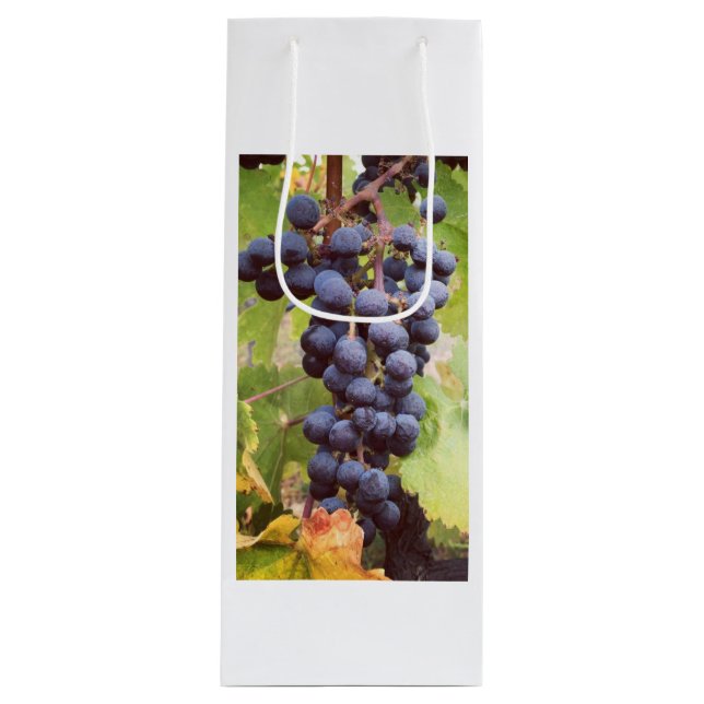 Grapevine Wine Bag (Front)