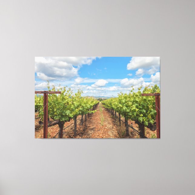Grapevines Canvas Print (Front)