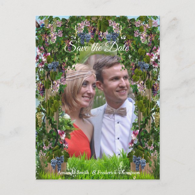 Grapevines, Honeysuckles & Hummingbirds Announcement Postcard (Front)