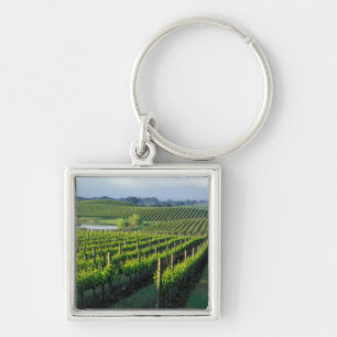 Grapevines in neat rows in California's Napa Keychain