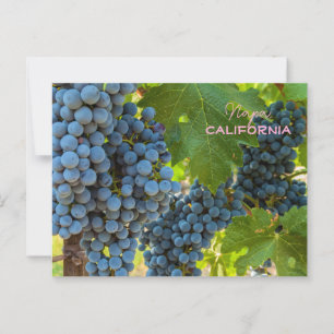 Grapevines  postcard