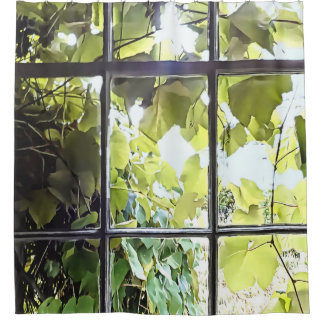 Grapevines Seen Through Window