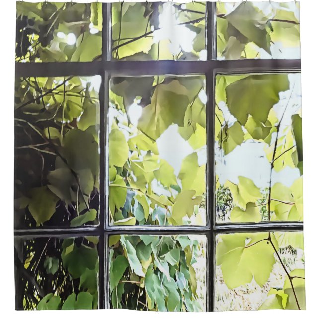 Grapevines Seen Through Window (Front)