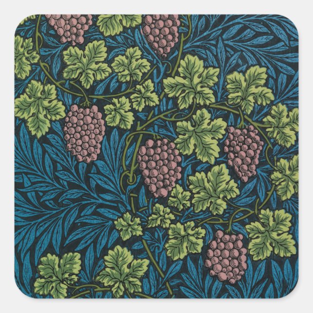  Grapevines with clusters of pink grapes  Square Sticker (Front)
