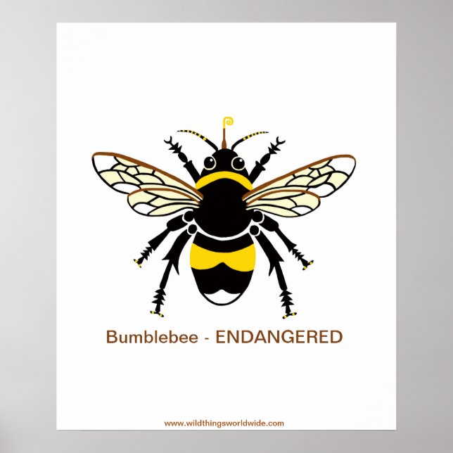 Graphic BUMBLE Bee - Endangered -Wildlife - Nature Poster (Front)