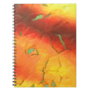 graphic design digital background texture colourfu notebook